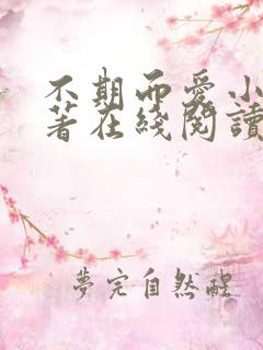 不期而爱小说原著在线阅读