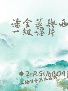 潘金莲与西门庆一级淫片