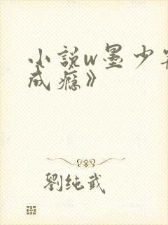 小说w墨少宠妻成瘾》