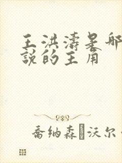 王洪涛是哪部小说的主角