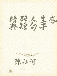 精辟人生感悟经典短句子