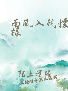 南风入我怀怎么样