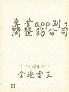 专业app制作开发的公司