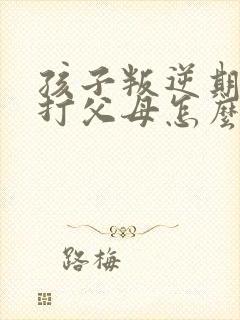 孩子叛逆期动手打父母怎么办