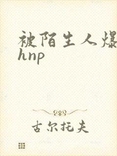 被陌生人爆c高hnp
