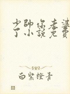 少帅你老婆又跑了小说免费