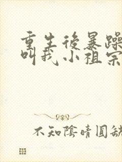 重生后暴躁大佬叫我小祖宗阅读全文全文