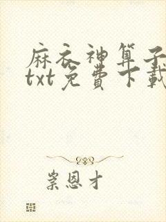 麻衣神算子下载txt免费下载