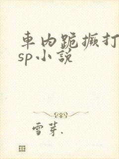 车内跪撅打屁股sp小说