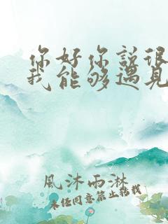 你好你说很高兴我能够遇见你是什么歌