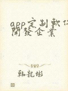 app定制软件开发企业