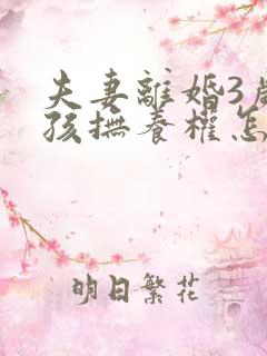 夫妻离婚3岁小孩抚养权怎么判