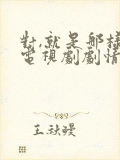 对,就是那样 电视剧剧情介绍