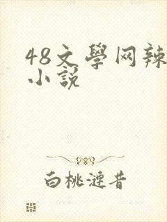 48文学网辣文小说