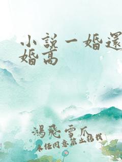 小说一婚还比一婚高