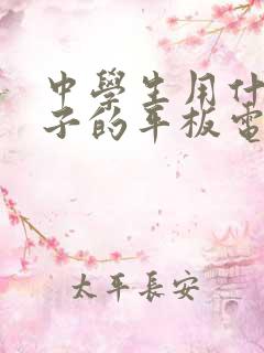 中学生用什么牌子的平板电脑好用