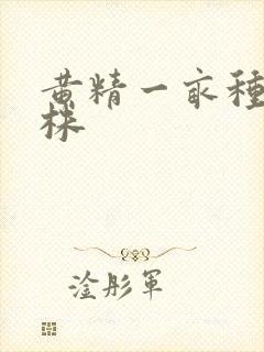 黄精一亩种多少株
