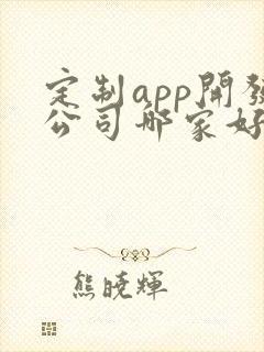 定制app开发公司哪家好
