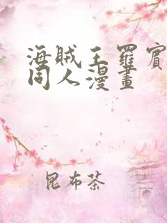 海贼王罗宾被×同人漫画