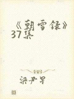《朝雪录》 第37集