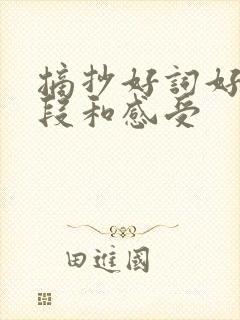 摘抄好词好句好段和感受