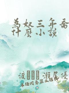 为奴三年乔念是什么小说
