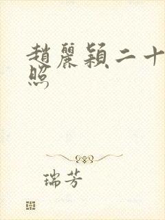 赵丽颖二十条剧照