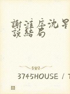 谢淮序沈星窈小说结局