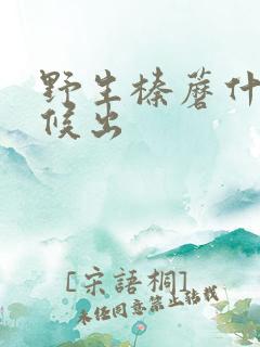 野生榛蘑什么时候出
