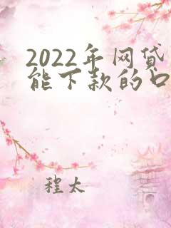2022年网贷能下款的口子