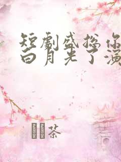 短剧盛总你找错白月光了演员表