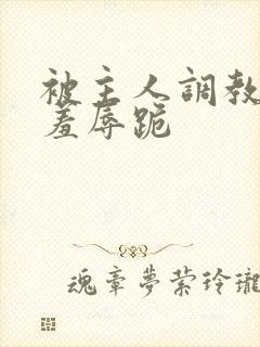被主人调教粗口羞辱跪