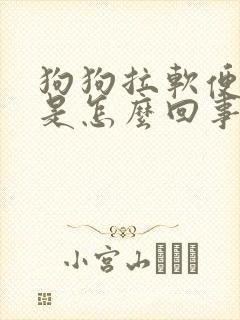 狗狗拉软便放屁是怎么回事