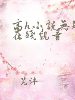 高h小说无删减在线观看