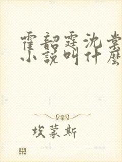 霍韶霆沈棠溪的小说叫什么名字