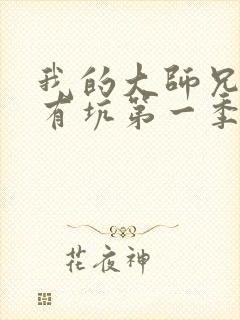 我的大师兄脑子有坑第一季免费观看