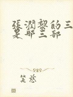张润黎的三部曲是哪三部