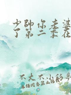 少帅你老婆又跑了第二季在线观看