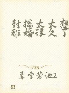 封总太太想跟你离婚很久了容辞全文小说