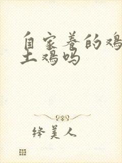 自家养的鸡是叫土鸡吗