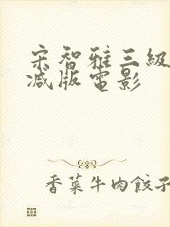 宋智雅三级无删减版电影