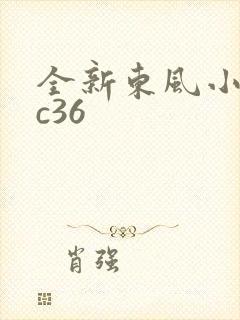 全新东风小康ec36