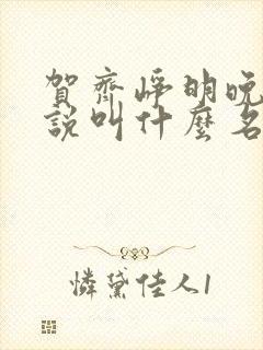 贺齐峥明晚晴小说叫什么名字