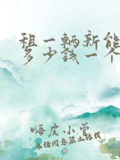 租一辆新能源车多少钱一个月