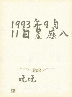1993年9月11日农历八字