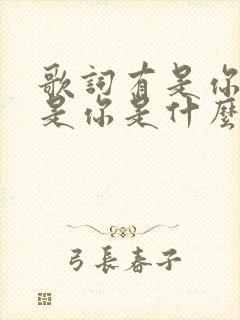 歌词有是你是你是你是什么歌