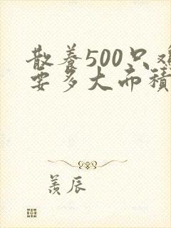 散养500只鸡要多大面积
