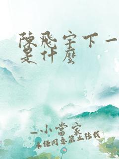 陈飞宇下一部剧是什么