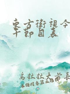东方卫视今天下午节目表