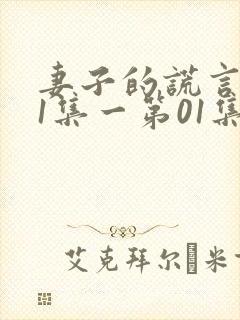 妻子的谎言第01集一第01集